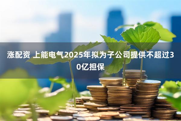 涨配资 上能电气2025年拟为子公司提供不超过30亿担保