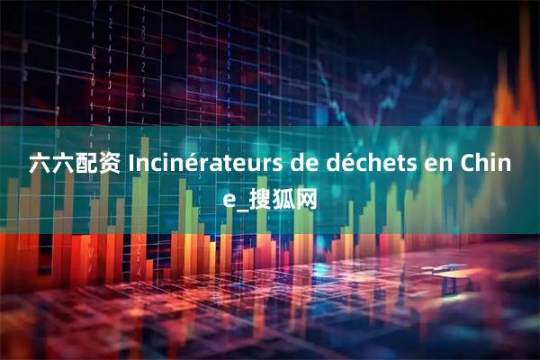 六六配资 Incinérateurs de déchets en Chine_搜狐网