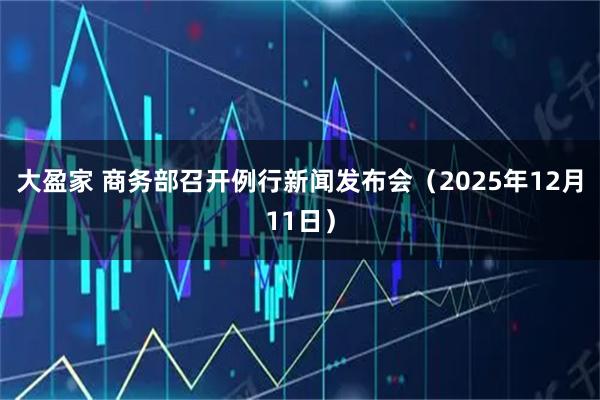大盈家 商务部召开例行新闻发布会（2025年12月11日）