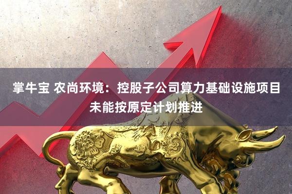 掌牛宝 农尚环境：控股子公司算力基础设施项目未能按原定计划推进
